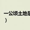 一公顷土地是多少亩（一公顷等于多少亩土地）