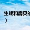 生蚝和扇贝的营养价值（生蚝和扇贝哪个壮阳）