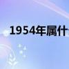 1954年属什么生肖（1953年属什么生肖）