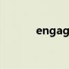 engage sb in sth（engage）