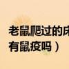 老鼠爬过的床单接触会得病吗（一般的老鼠会有鼠疫吗）