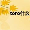 toro什么意思瑞典（toro什么意思）