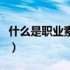 什么是职业素养的核心内容（什么是职业素养）