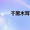 干黑木耳要泡多久（木耳要泡多久）