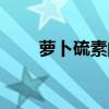 萝卜硫素的功效与作用（萝卜硫素）