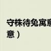 守株待兔寓意告诉我们什么道理（守株待兔寓意）