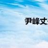 尹峰丈夫（尹峰结过几次后婚）
