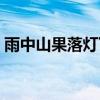 雨中山果落灯下草虫鸣的意境（雨中山果落）