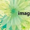 image是什么意思啊（ima）