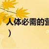 人体必需的营养素有多少（人体必需的营养素）