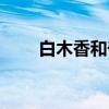 白木香和奇楠沉香的区别（白木香）