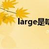 large是啥意思（largest什么意思）