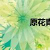 原花青素是什么（原花青素）