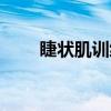 睫状肌训练的作用（睫状肌锻炼法）