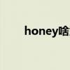 honey啥意思中文（honey啥意思）