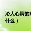 沁人心脾的意思是什么?（沁人心脾的意思是什么）