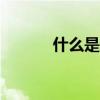 什么是米聊app（什么是米聊）