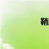 鞘膜炎图片（鞘膜炎）