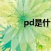 pd是什么化学元素（pd是什么）