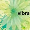 vibrate品牌档次（vibrate）