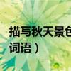 描写秋天景色的词语有哪些（描写秋天景色的词语）