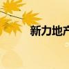 新力地产排第几（新力地产排名）