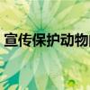 宣传保护动物的宣传语（保护动物的宣传语）