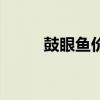 鼓眼鱼价格多少钱一斤（鼓眼鱼）