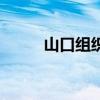 山口组织纹身（山口组纹身等级）