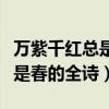 万紫千红总是春的全诗几年级的（万紫千红总是春的全诗）