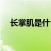 长掌肌是什么意思（掌长肌有什么好处）
