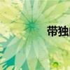 带独的词语（带独的成语）