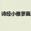 诗经小雅蓼莪注音白话翻译（诗经小雅蓼莪）