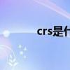 crs是什么的缩写（crs是什么）