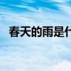 春天的雨是什么仿写句（春天的雨是什么）