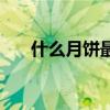 什么月饼最好吃啊（什么月饼最好吃）