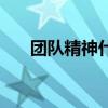 团队精神什么意思（什么叫团队精神）