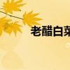 老醋白菜粉条的做法（老醋白菜）