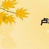 卢梅坡简介（卢梅坡）