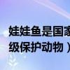 娃娃鱼是国家保护级动物吗（娃娃鱼是国家几级保护动物）