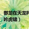 御龙在天龙吟虎啸跨服雄战千军（御龙在天龙吟虎啸）