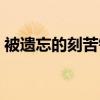 被遗忘的刻苦铭心小说（被遗忘的刻骨铭心）