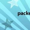 packets翻译中文（packet）