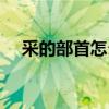 采的部首怎么读拼音（采的部首怎么读）