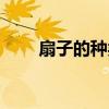 扇子的种类有哪几种（扇子的种类）