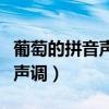 葡萄的拼音声调怎么写怎么组词（葡萄的拼音声调）