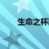 生命之杯歌词英文（生命之杯歌词）
