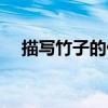 描写竹子的优美段落（描写竹子的诗句）