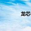 龙芯一号简介（龙芯一号）