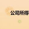 公司所得税计算公式（公司所得税）